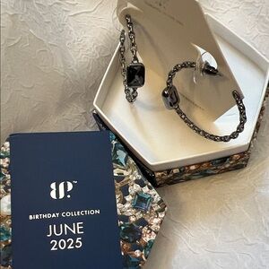 Bomb Party June 2025 Subtle Statements Hematite and Alexandrite hoops